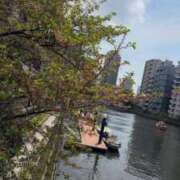 ヒメ日記 2026/04/18 10:39 投稿 田宮 鶯谷デッドボール