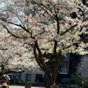 ヒメ日記 2026/04/20 10:01 投稿 田宮 鶯谷デッドボール