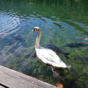 ヒメ日記 2025/11/29 12:10 投稿 ちか You&Me