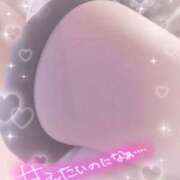 ヒメ日記 2026/01/22 08:00 投稿 ちか You&Me