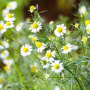 ヒメ日記 2026/01/29 14:01 投稿 ちか You&Me