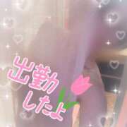 ヒメ日記 2026/02/19 09:40 投稿 ちか You&Me