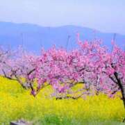 ヒメ日記 2026/04/01 13:10 投稿 ちか You&Me