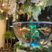 ヒメ日記 2025/11/04 10:16 投稿 ひなこ Beppin house