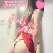 ヒメ日記 2025/12/27 13:50 投稿 ひなこ Beppin house