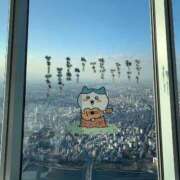 ヒメ日記 2025/12/28 11:20 投稿 ひなこ Beppin house