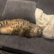 ヒメ日記 2026/01/01 12:00 投稿 ひなこ Beppin house