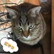 ヒメ日記 2026/01/01 18:00 投稿 ひなこ Beppin house