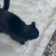 ヒメ日記 2026/01/05 11:56 投稿 ひなこ Beppin house