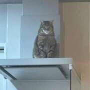 ヒメ日記 2026/03/12 14:30 投稿 ひなこ Beppin house