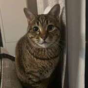 ヒメ日記 2026/03/12 19:00 投稿 ひなこ Beppin house