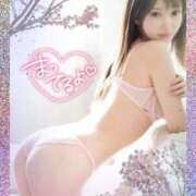 ヒメ日記 2026/04/13 08:00 投稿 ひなこ Beppin house