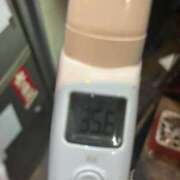 ヒメ日記 2026/04/13 19:50 投稿 ひなこ Beppin house