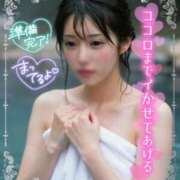 ヒメ日記 2026/04/15 17:20 投稿 ひなこ Beppin house