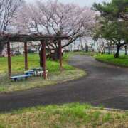 ヒメ日記 2026/04/04 14:53 投稿 つみき モアグループ神栖人妻花壇