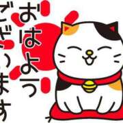 ヒメ日記 2026/04/25 08:23 投稿 つみき モアグループ神栖人妻花壇