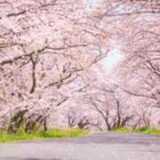 ヒメ日記 2026/04/28 21:06 投稿 つみき モアグループ神栖人妻花壇