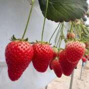 ヒメ日記 2026/03/06 12:22 投稿 ★木之本ゆあ★ CLUB39（クラブサンキュー）