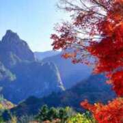 ヒメ日記 2025/11/02 19:26 投稿 あすか 熟女総本店 日本橋ミナミエリア店