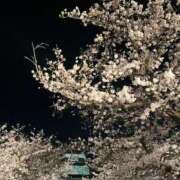 ヒメ日記 2026/04/06 17:54 投稿 白石みおな★ elumo(エルモ)