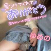 ヒメ日記 2025/11/08 10:05 投稿 ゆめの 渋谷蘭の会