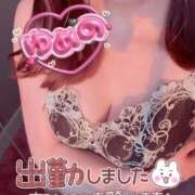 ヒメ日記 2025/12/14 22:25 投稿 ゆめの 渋谷蘭の会