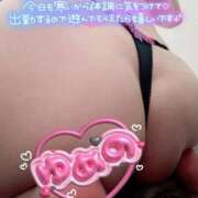 ヒメ日記 2026/02/03 11:55 投稿 ゆめの 渋谷蘭の会