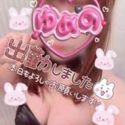 ヒメ日記 2026/02/17 22:25 投稿 ゆめの 渋谷蘭の会