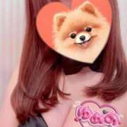 ヒメ日記 2026/03/16 12:37 投稿 ゆめの 渋谷蘭の会