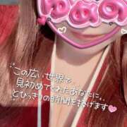 ヒメ日記 2026/04/09 15:55 投稿 ゆめの 渋谷蘭の会