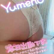 ヒメ日記 2026/06/15 21:15 投稿 ゆめの 渋谷蘭の会