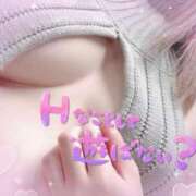 ヒメ日記 2025/10/28 17:17 投稿 こころ モアグループ神栖人妻花壇