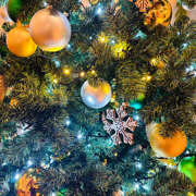 ヒメ日記 2025/11/25 10:42 投稿 ユウカ Club 妻