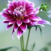 ヒメ日記 2026/02/22 08:59 投稿 ユウカ Club 妻