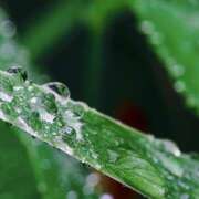 ヒメ日記 2026/02/25 09:58 投稿 ユウカ Club 妻