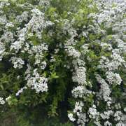 ヒメ日記 2026/03/24 20:33 投稿 ユウカ Club 妻