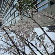 ヒメ日記 2026/03/25 14:02 投稿 ユウカ Club 妻