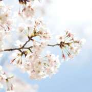 ヒメ日記 2026/03/30 09:17 投稿 ユウカ Club 妻