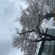 ヒメ日記 2026/04/01 18:18 投稿 ユウカ Club 妻