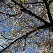 ヒメ日記 2026/04/06 17:46 投稿 ユウカ Club 妻