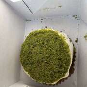 ヒメ日記 2026/01/31 22:18 投稿 リリカ Club 妻