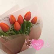 ヒメ日記 2025/11/24 01:03 投稿 さゆり ミセスコレクション