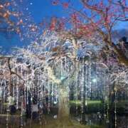 ヒメ日記 2026/03/19 22:10 投稿 みなきあまな KINDAN-禁断-