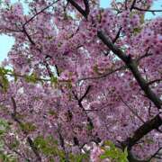 ヒメ日記 2026/03/25 18:20 投稿 みなきあまな KINDAN-禁断-