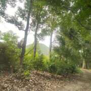 みなきあまな 葉隠♡ KINDAN-禁断-