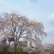 みなきあまな 土方歳三♡ KINDAN-禁断-