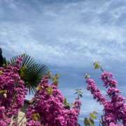 ヒメ日記 2026/04/12 20:37 投稿 みなきあまな KINDAN-禁断-