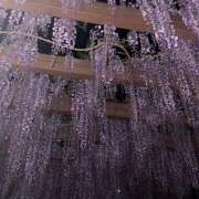 ヒメ日記 2026/04/20 09:06 投稿 みなきあまな KINDAN-禁断-