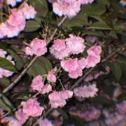 ヒメ日記 2026/04/28 23:30 投稿 みなきあまな KINDAN-禁断-