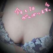 ヒメ日記 2025/11/16 09:45 投稿 まゆみ 丸妻 新横浜店